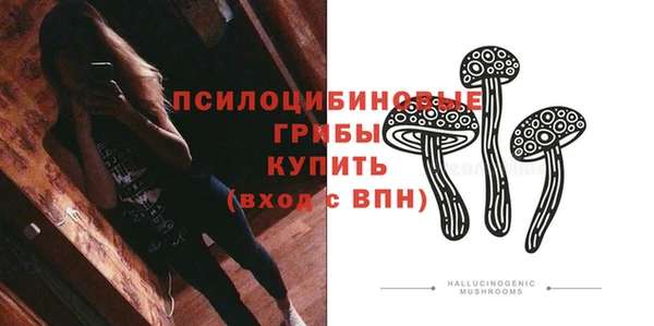 а пвп мука Весьегонск