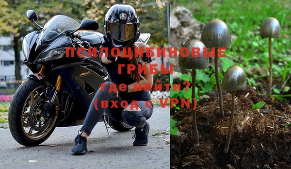 а пвп мука Весьегонск