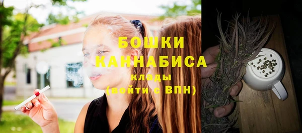spice Сосновка