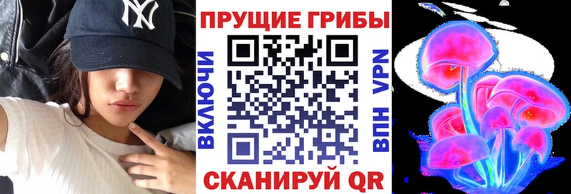 Псилоцибиновые грибы мухоморы  сайты даркнета как зайти  Ужур 